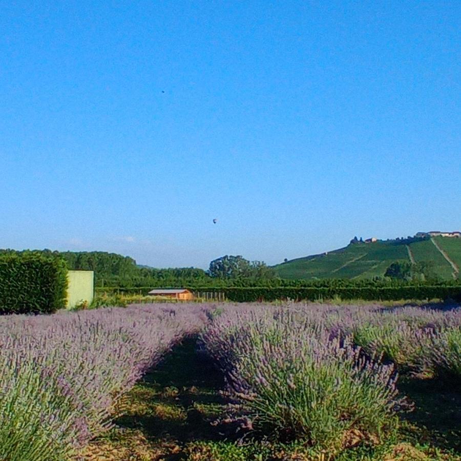 La Cascina Di Carlotta 1846 Agriturismo Alba  Extérieur photo